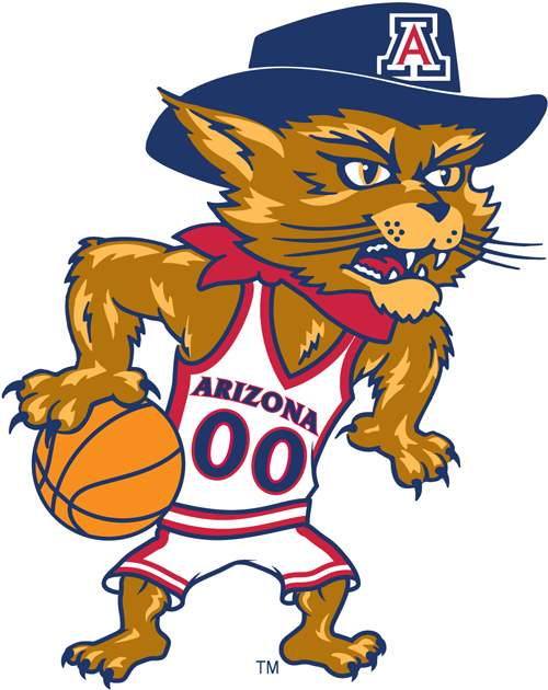 Arizona Wildcats 2003-Pres Mascot Logo t shirts iron on transfers v5